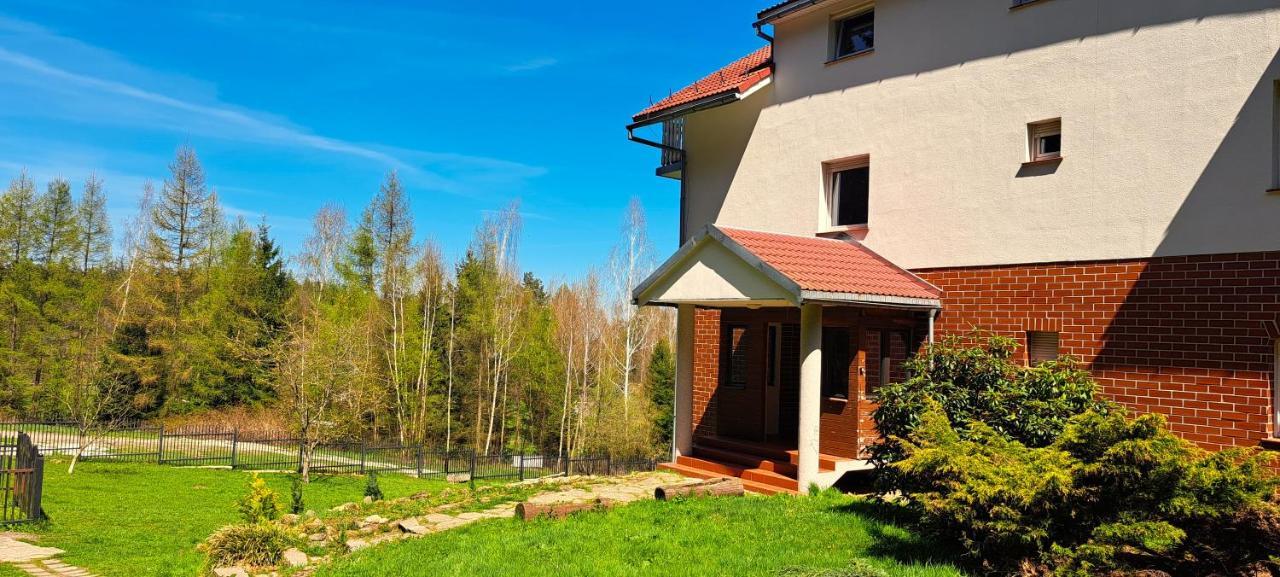 Gorskie Zacisze Panzió Borowice Kültér fotó