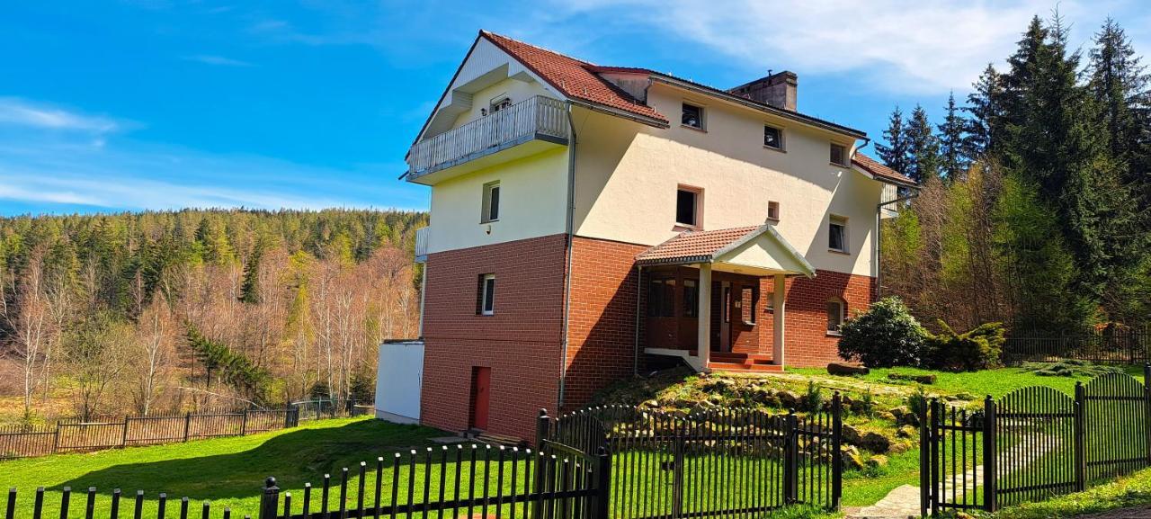 Gorskie Zacisze Panzió Borowice Kültér fotó
