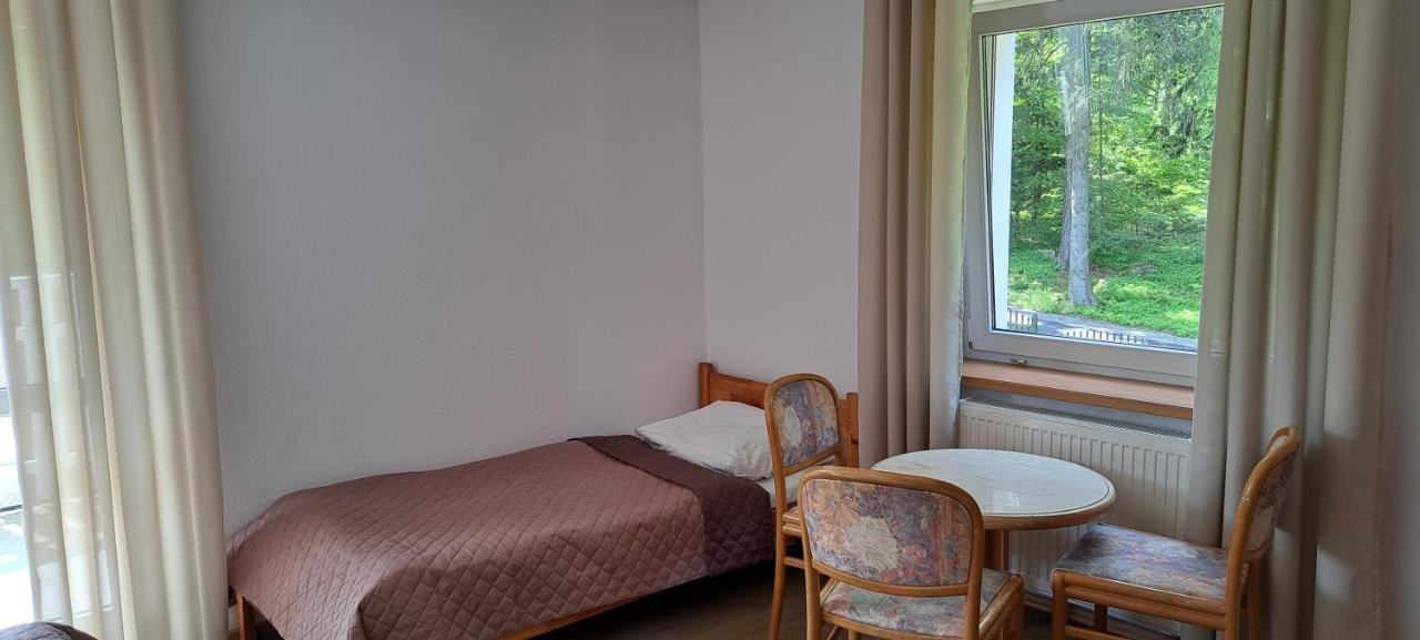 Gorskie Zacisze Panzió Borowice Kültér fotó