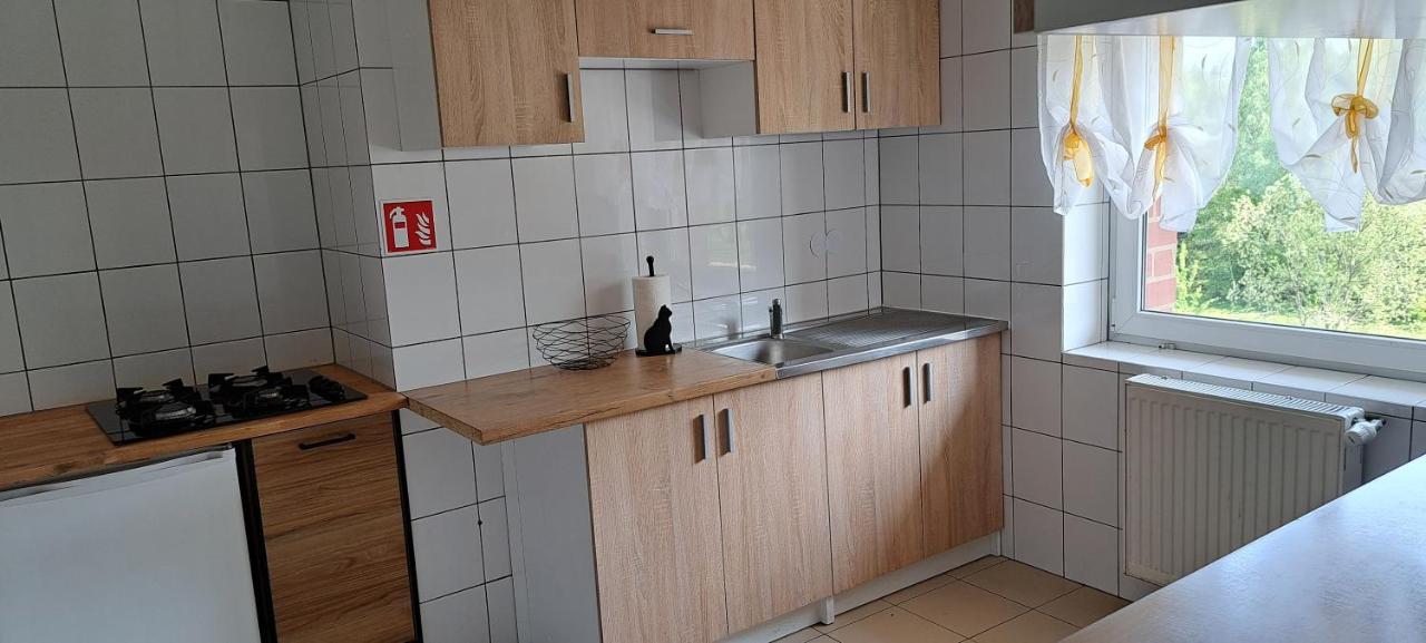 Gorskie Zacisze Panzió Borowice Kültér fotó