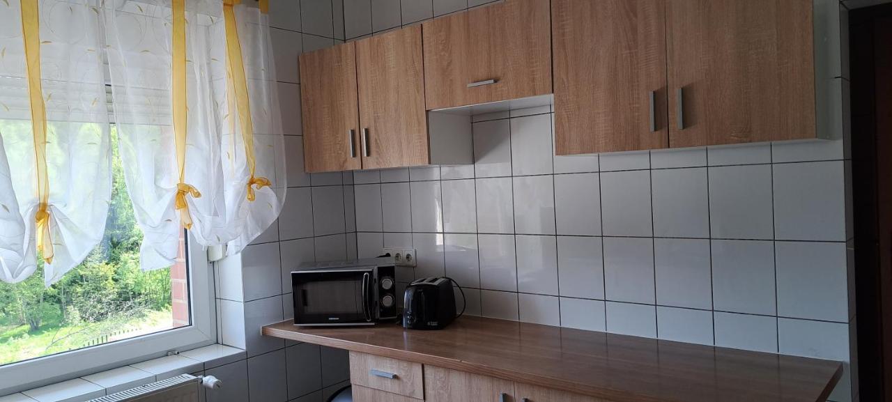 Gorskie Zacisze Panzió Borowice Kültér fotó