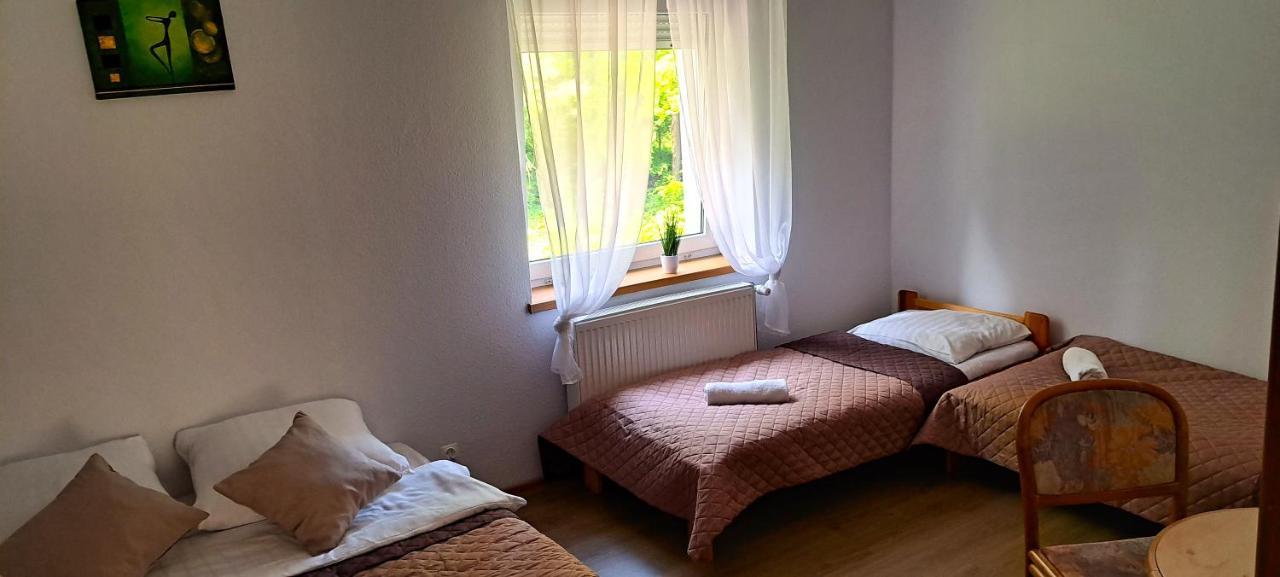 Gorskie Zacisze Panzió Borowice Kültér fotó