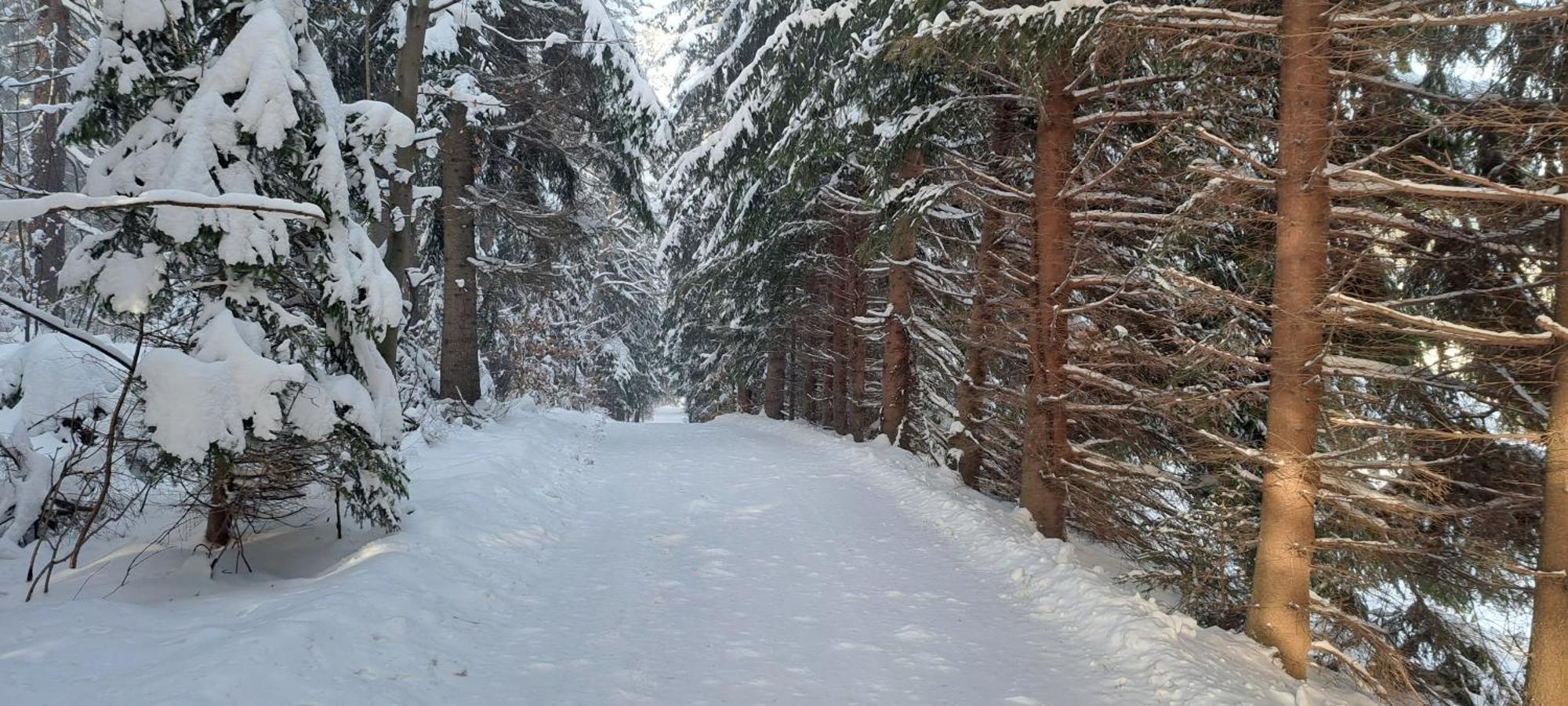 Gorskie Zacisze Panzió Borowice Kültér fotó