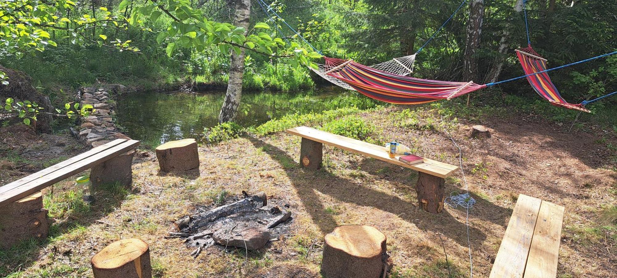 Gorskie Zacisze Panzió Borowice Kültér fotó