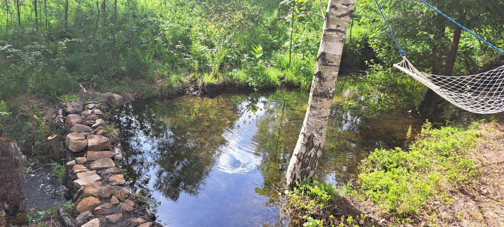 Gorskie Zacisze Panzió Borowice Kültér fotó