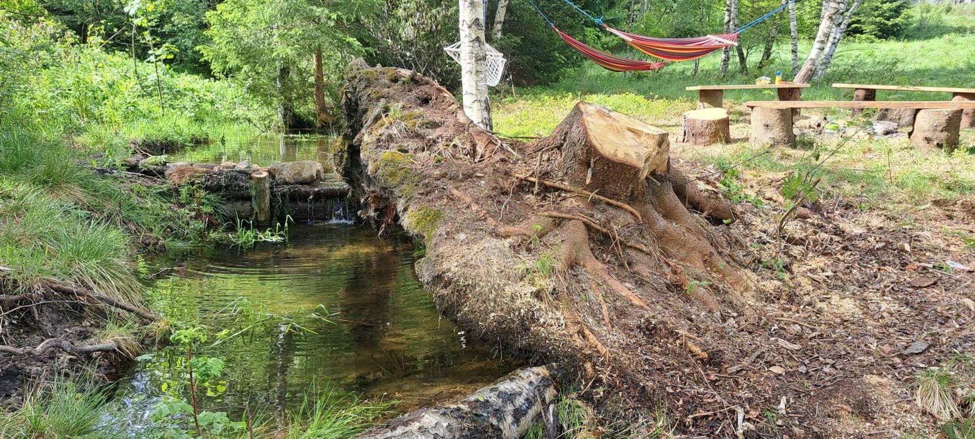 Gorskie Zacisze Panzió Borowice Kültér fotó