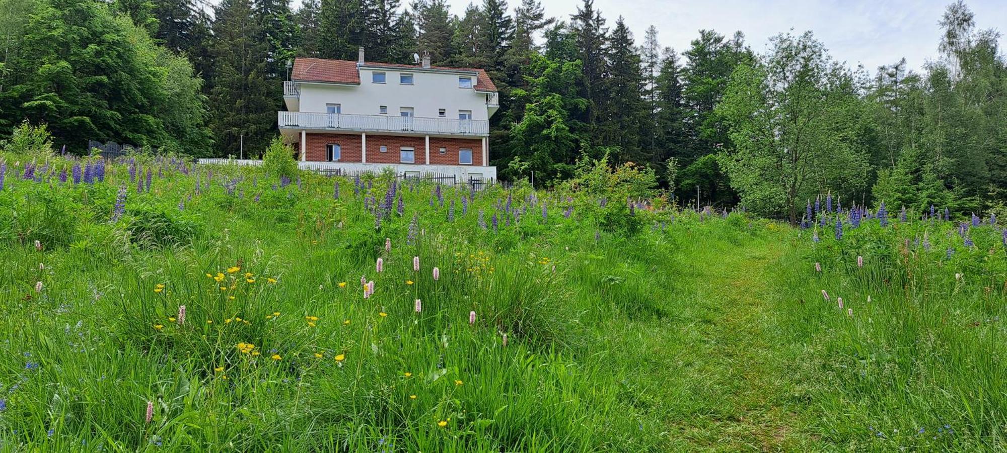 Gorskie Zacisze Panzió Borowice Kültér fotó
