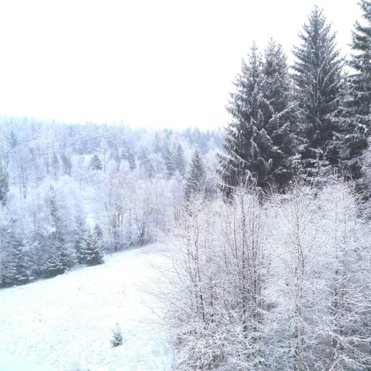 Gorskie Zacisze Panzió Borowice Kültér fotó