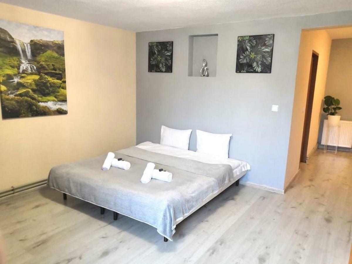 Gorskie Zacisze Panzió Borowice Kültér fotó